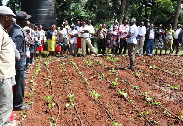 Training Farmers